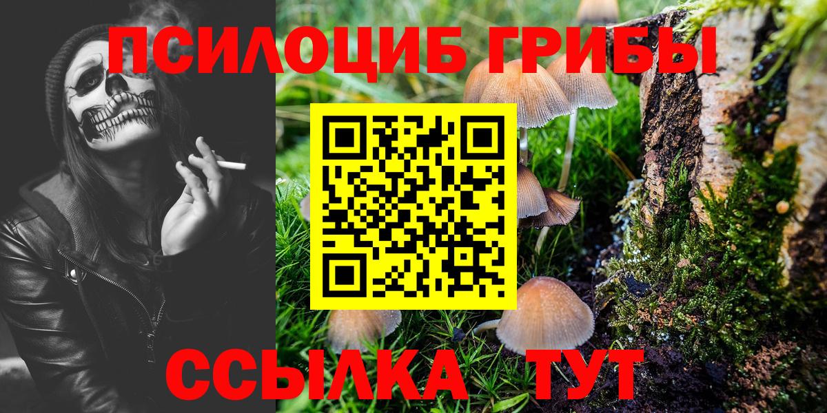 Псилоцибиновые грибы GOLDEN TEACHER Усинск